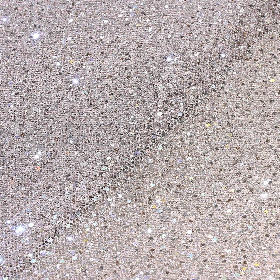 Champagne Silver Color Imported Heavy Sequin Embroidery Net Fabric- ED1605-3