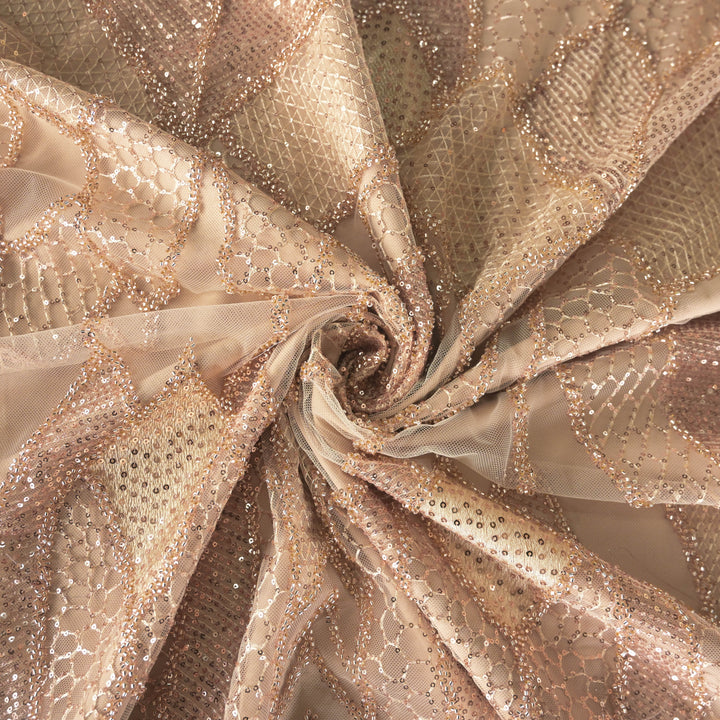 Beige Imported Net Fabric with allover Sequins & Zari Embroidery