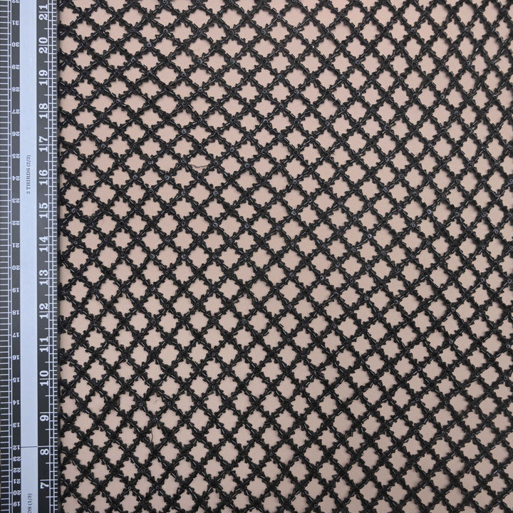 Raven Black Imported Net Fabric with Cutdana Embroidery