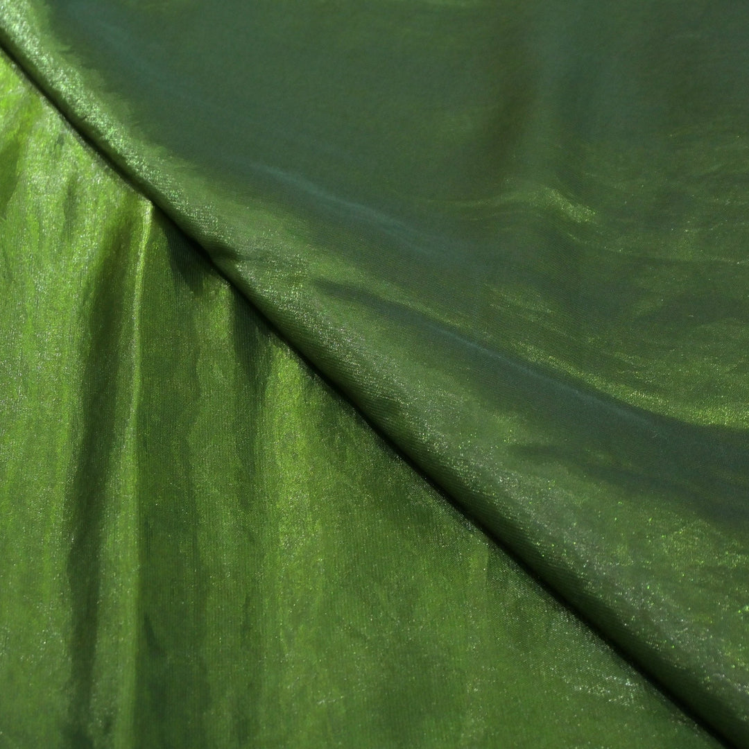 Fandy Organza Fabric
