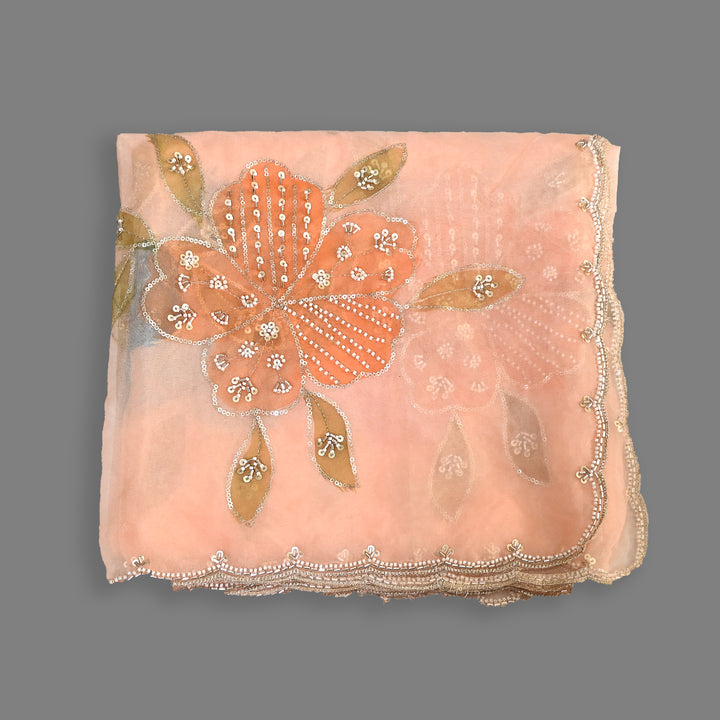 Organza Moti & Sequence Embroidery Dupatta – Elegant Ethnic Dupatta for Women- DI0780-1