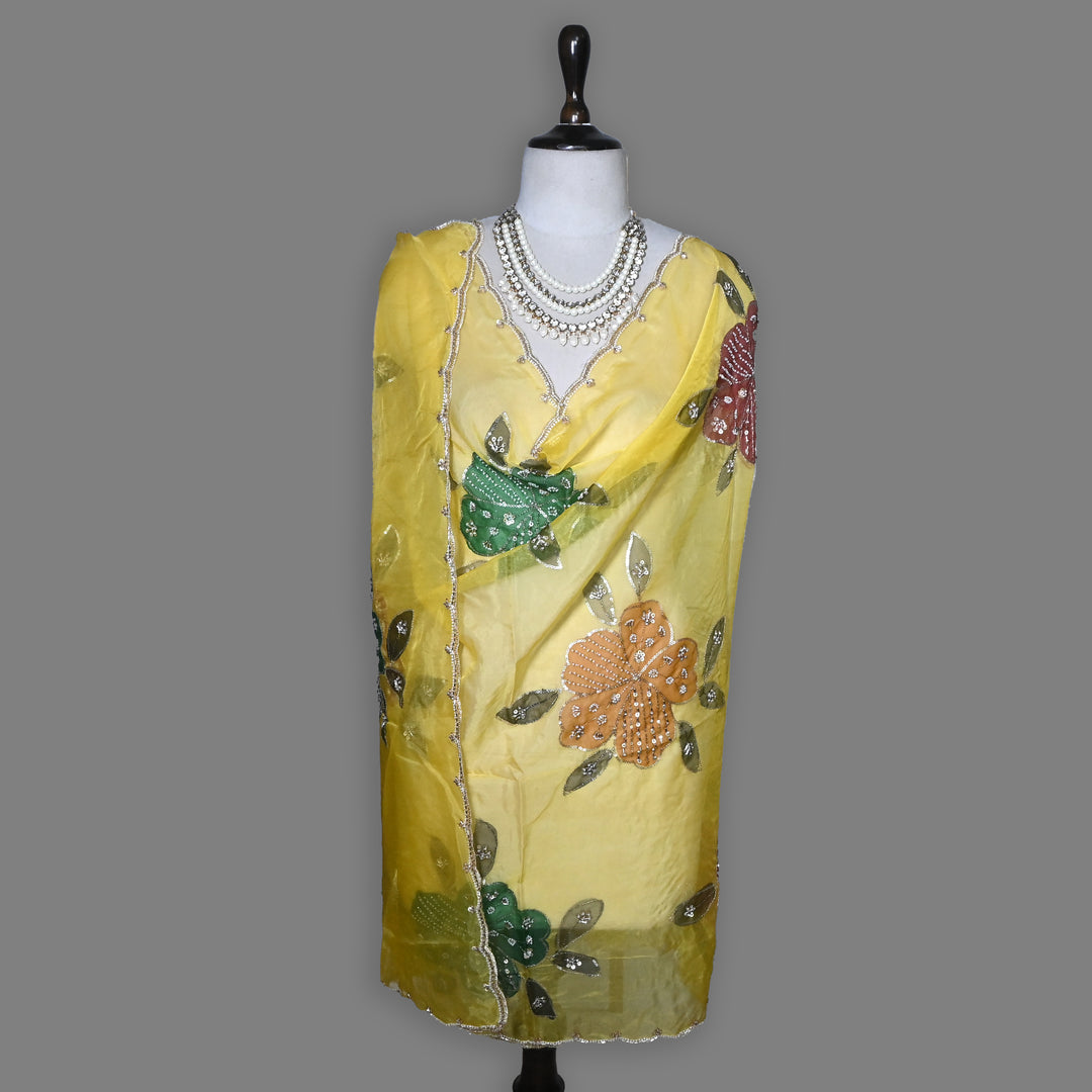 Organza Moti & Sequence Embroidery Dupatta – Elegant Ethnic Dupatta for Women- DI0780-5