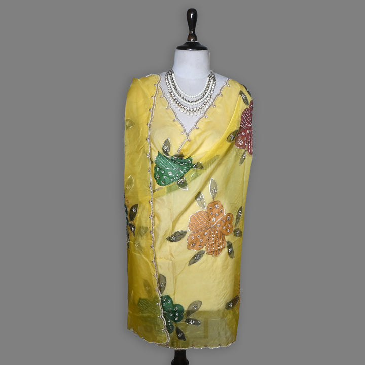 Organza Moti & Sequence Embroidery Dupatta – Elegant Ethnic Dupatta for Women- DI0780-5