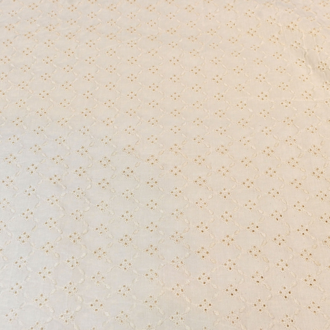 Kora Cotton Cutwork Chikankari Embroidery Fabric DF0130-2