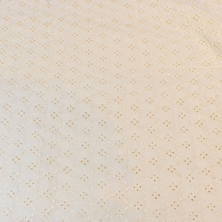 Kora Cotton Cutwork Chikankari Embroidery Fabric DF0130-2