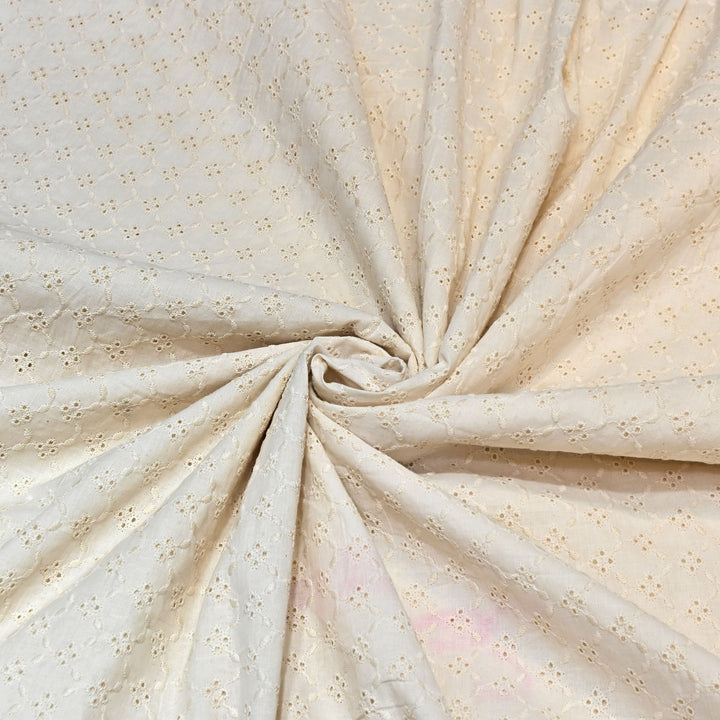 Kora Cotton Cutwork Chikankari Embroidery Fabric DF0130-2