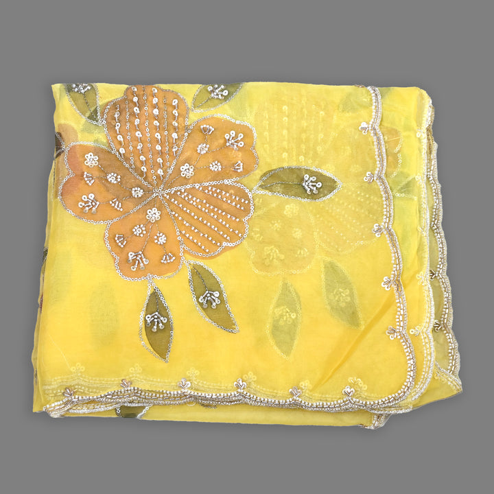 Organza Moti & Sequence Embroidery Dupatta – Elegant Ethnic Dupatta for Women- DI0780-5