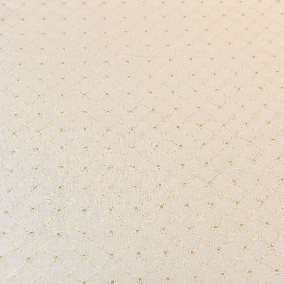 Kora Cotton Cutwork Chikankari Embroidery Fabric DF0130-3