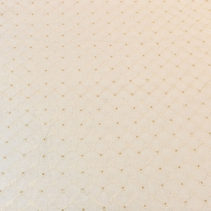 Kora Cotton Cutwork Chikankari Embroidery Fabric DF0130-3