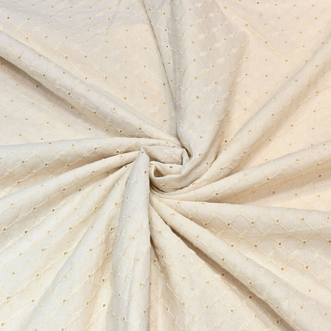 Kora Cotton Cutwork Chikankari Embroidery Fabric DF0130-3