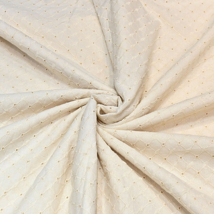 Kora Cotton Cutwork Chikankari Embroidery Fabric DF0130-3