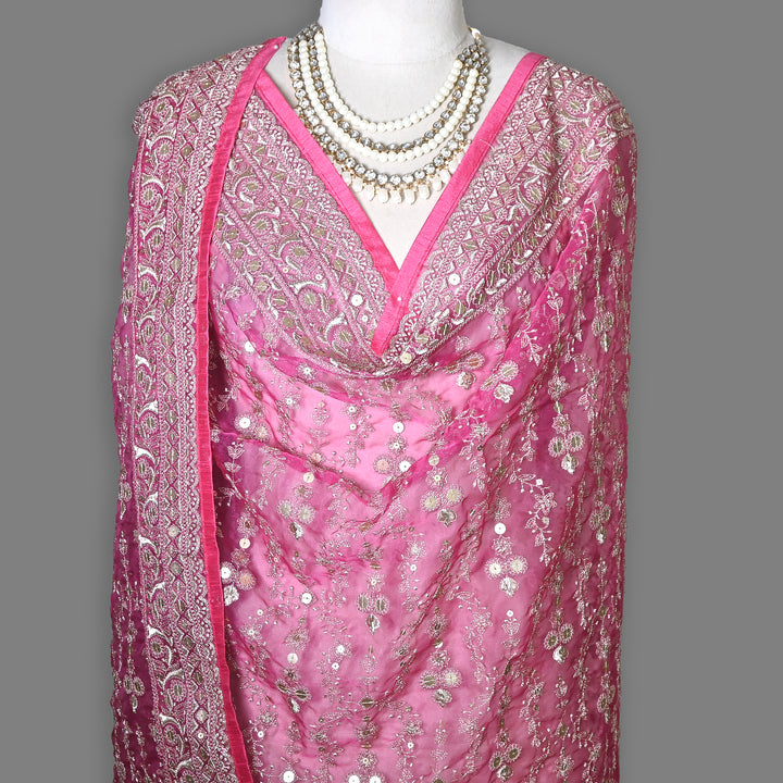 Organza Sequence & Zari Dupatta – Elegant Ethnic Dupatta for Women- RV2210-03