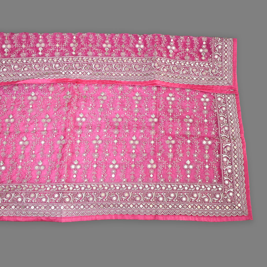 Organza Sequence & Zari Dupatta – Elegant Ethnic Dupatta for Women- RV2210-03
