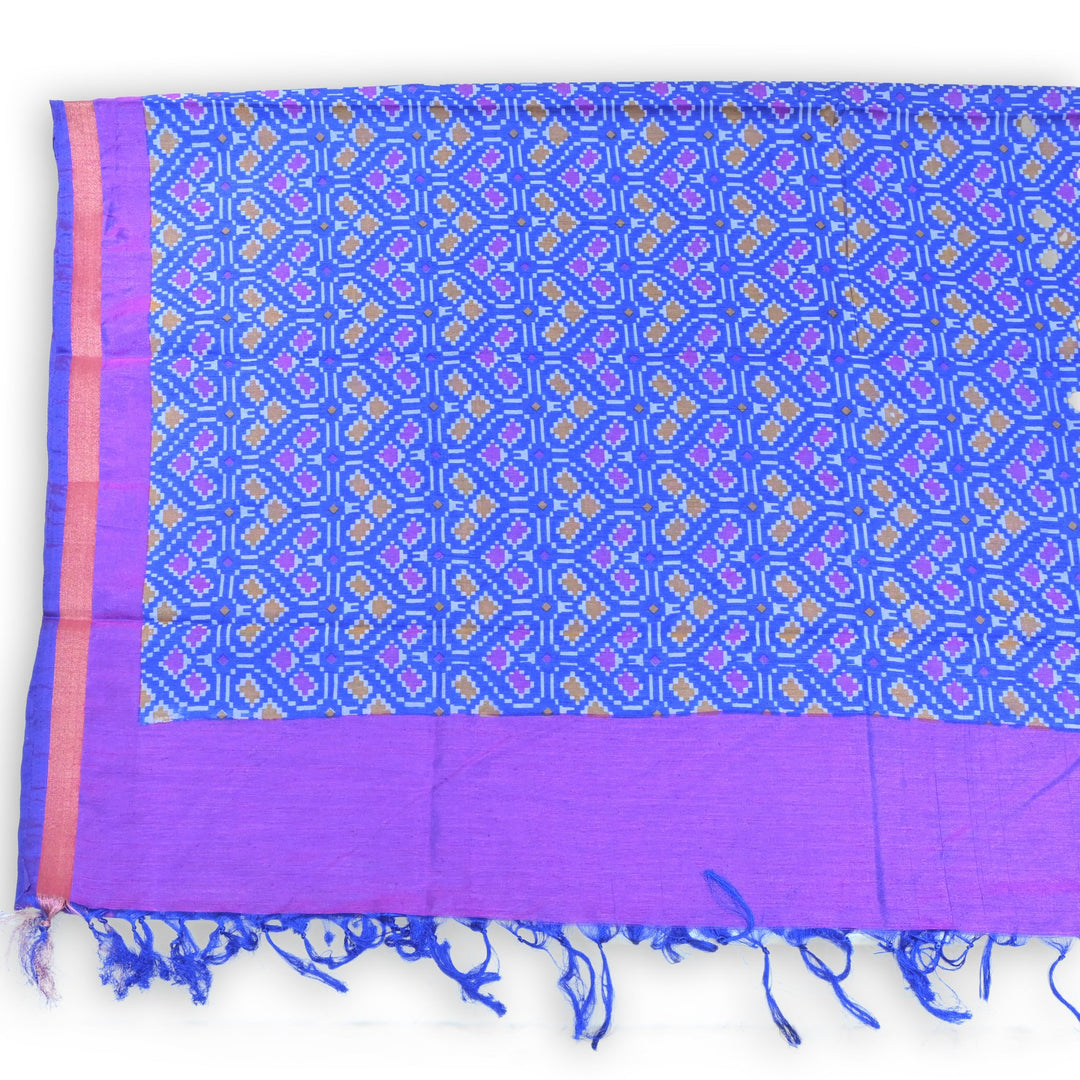 Multi Color Patola Silk Dupatta