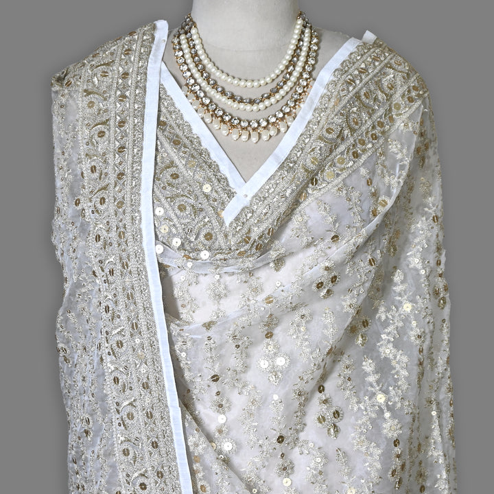 Organza Sequence & Zari Dupatta – Elegant Ethnic Dupatta for Women- RV2210-01