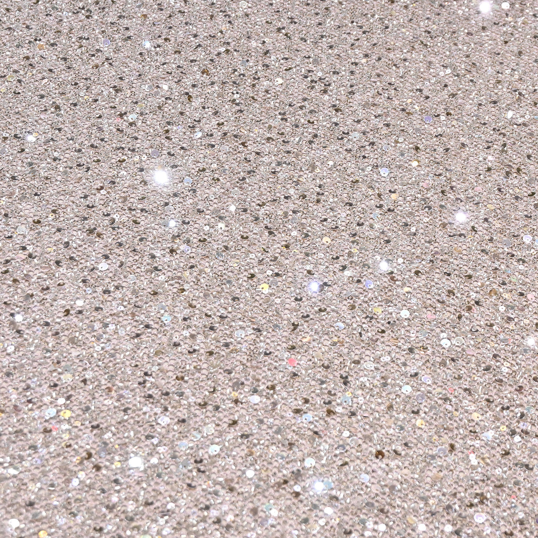 Champagne Silver Color Imported Heavy Sequin Embroidery Net Fabric- ED1605-3