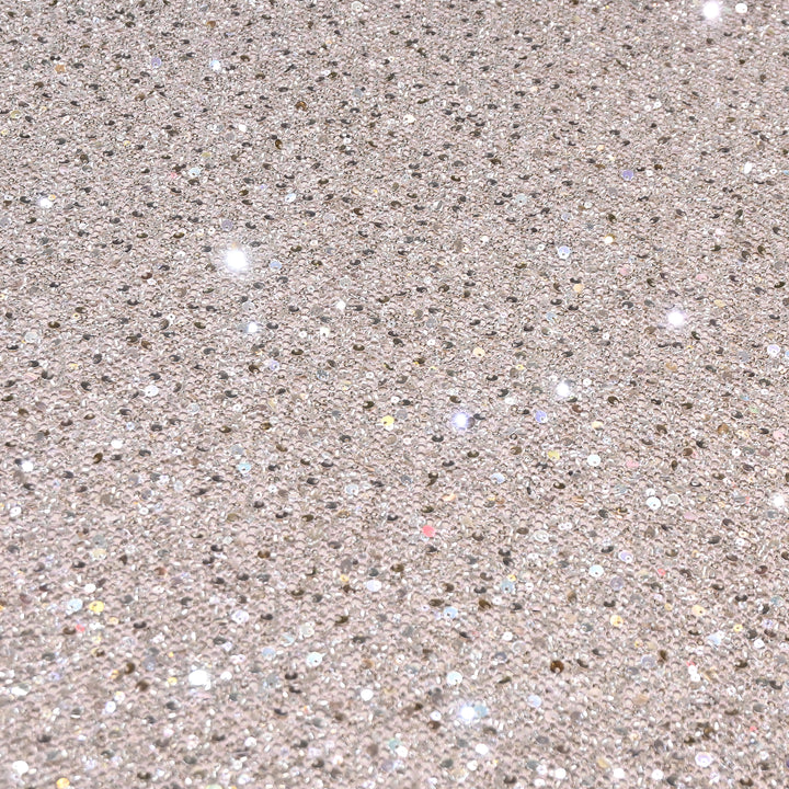 Champagne Silver Color Imported Heavy Sequin Embroidery Net Fabric- ED1605-3