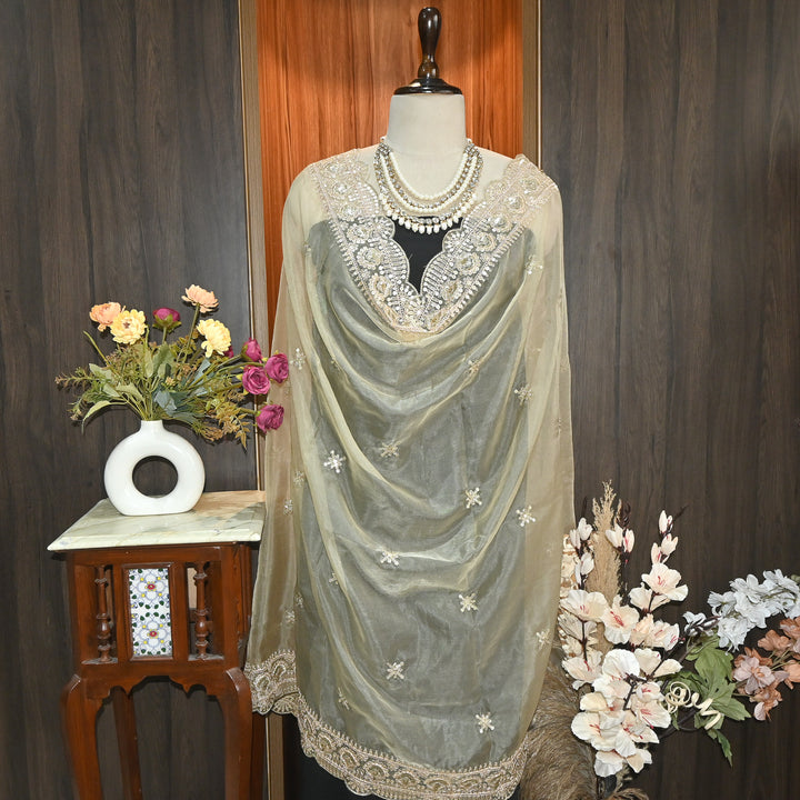 Elegant Nylon Organza Zari & Sequins Embroidery Dupatta | Premium Designer Dupatta | B11874-01