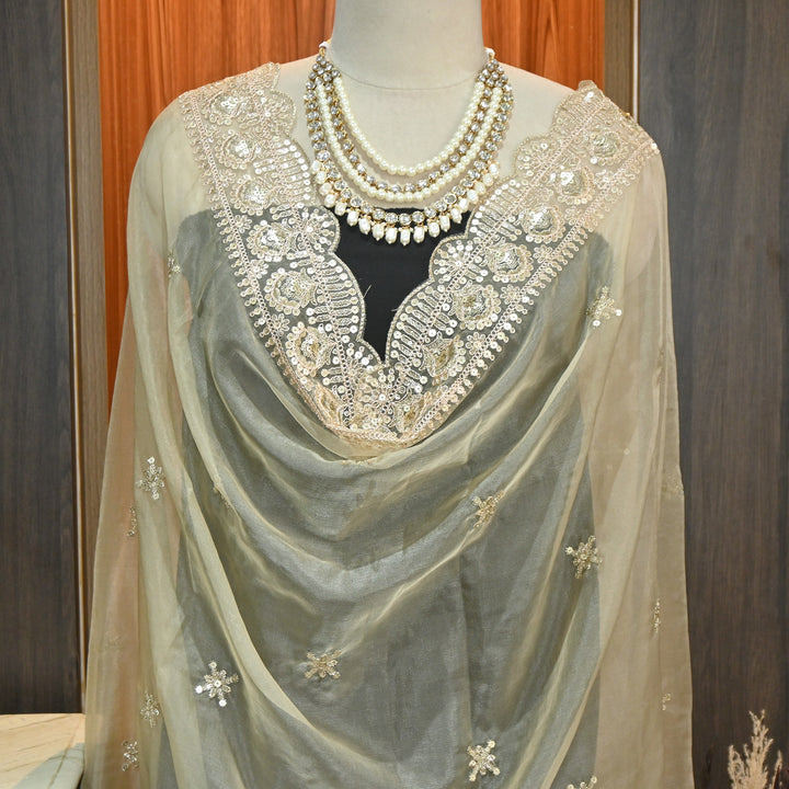 Elegant Nylon Organza Zari & Sequins Embroidery Dupatta | Premium Designer Dupatta | B11874-01