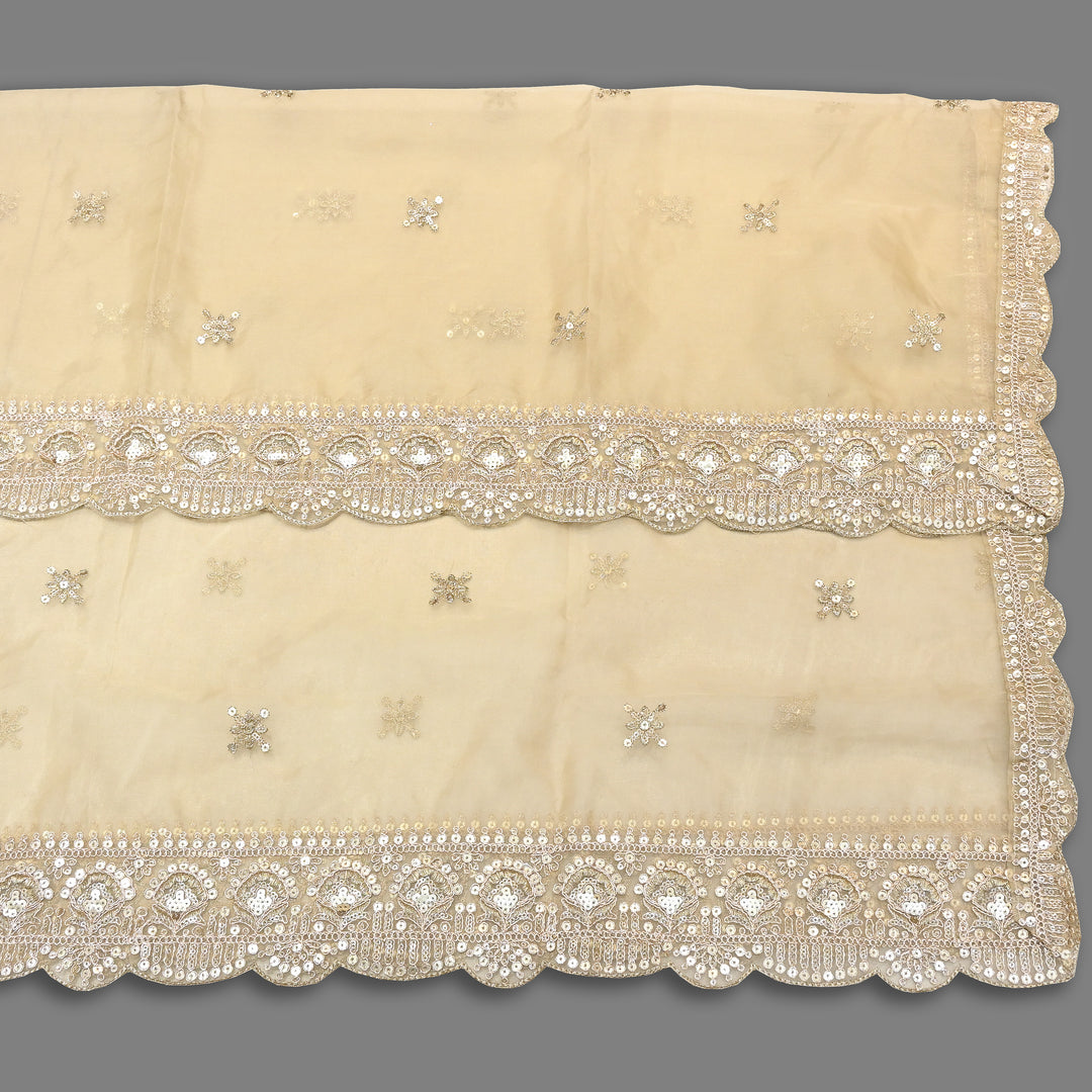 Elegant Nylon Organza Zari & Sequins Embroidery Dupatta | Premium Designer Dupatta | B11874-01