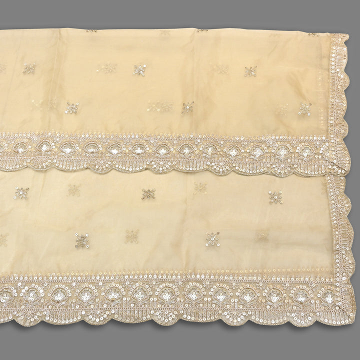 Elegant Nylon Organza Zari & Sequins Embroidery Dupatta | Premium Designer Dupatta | B11874-01