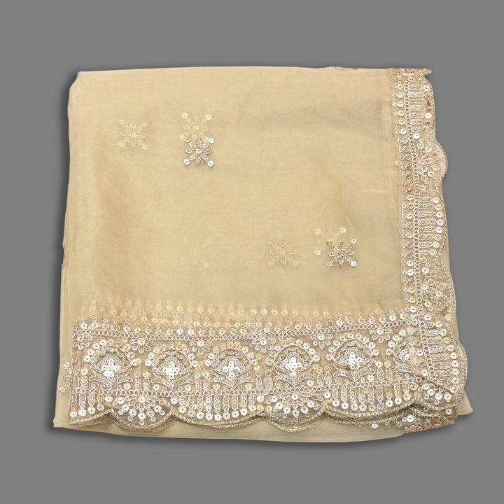 Elegant Nylon Organza Zari & Sequins Embroidery Dupatta | Premium Designer Dupatta | B11874-01