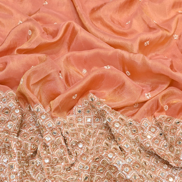 Premium Dyed Tissue Mirror Moti Sequin Embroidered Fabric with Heavy Border - EB00669-4