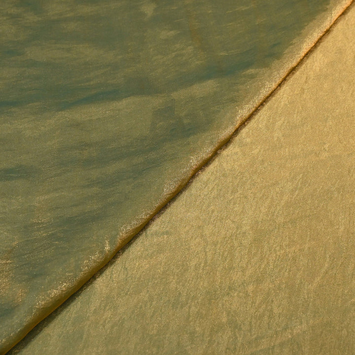 Fendi Organza Fabric | 001802-09