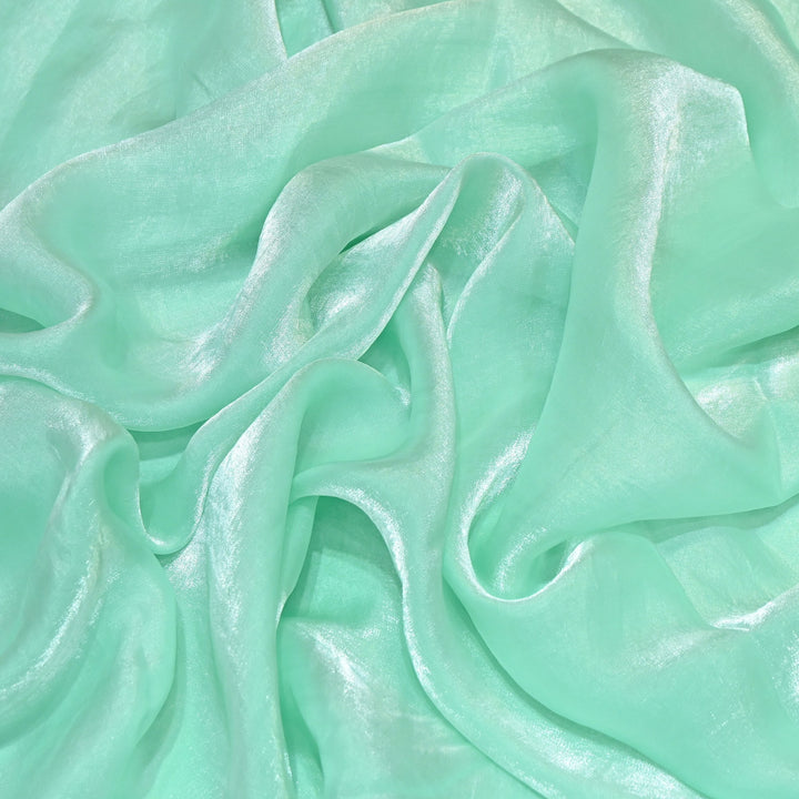 Fendi Organza Fabric | 001802-22