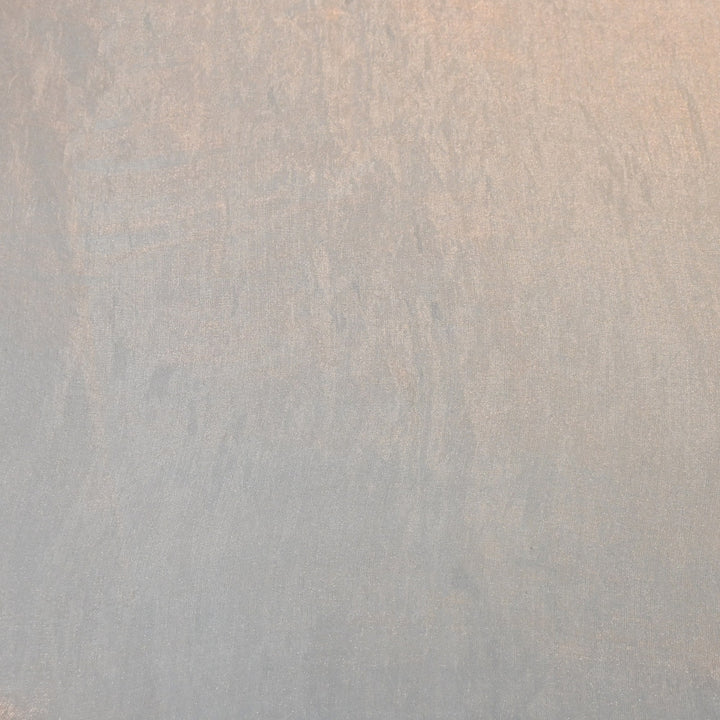 Fendi Organza Fabric | 001802-21