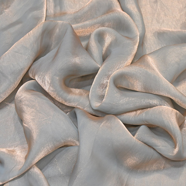 Fendi Organza Fabric | 001802-21