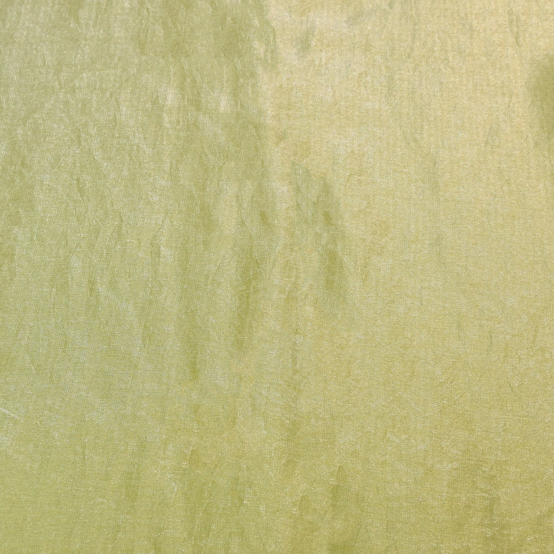 Fendi Organza Fabric | 001802-13