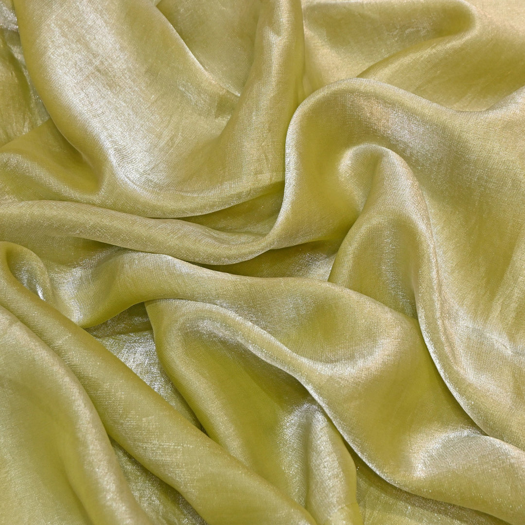 Fendi Organza Fabric | 001802-13
