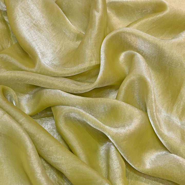 Fendi Organza Fabric | 001802-13