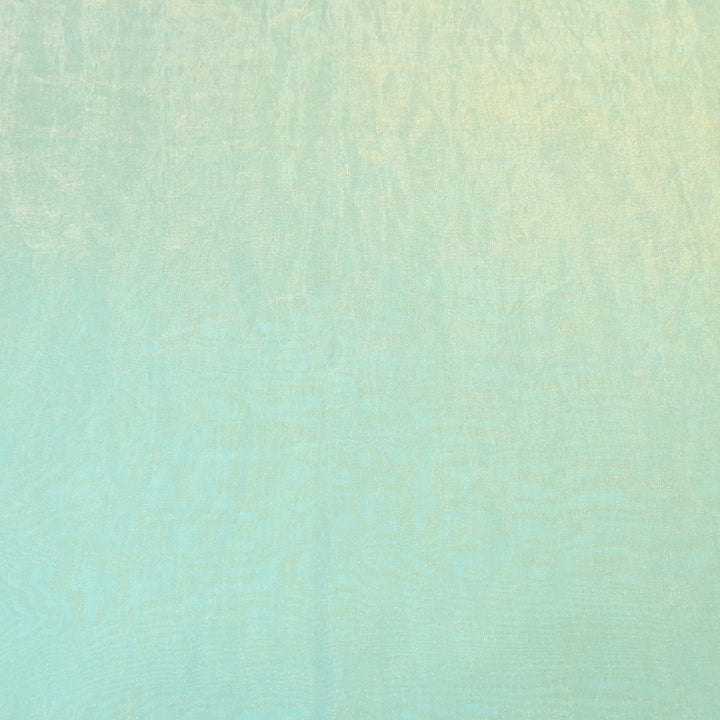 Fendi Organza Fabric | 001802-19