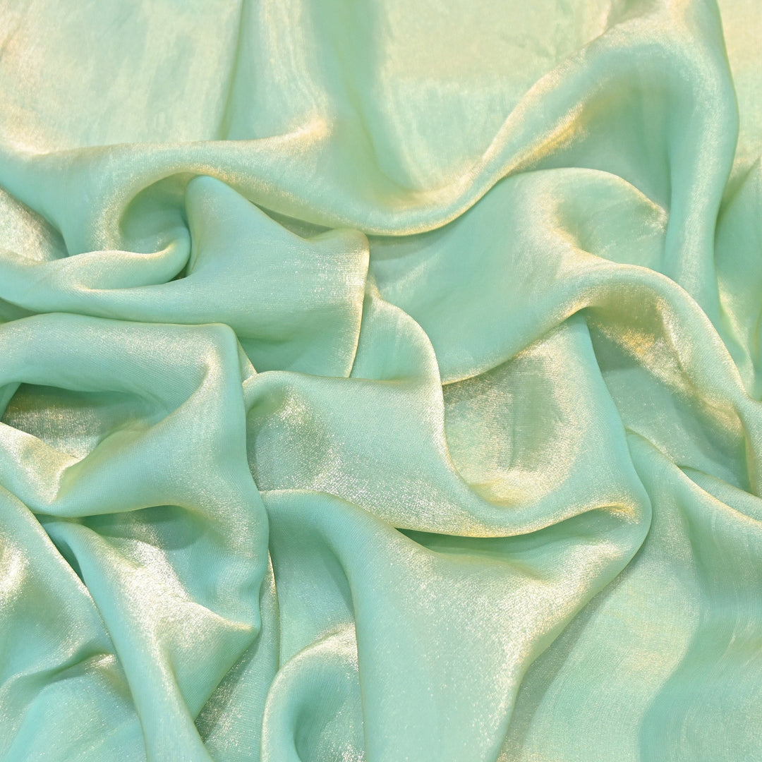 Fendi Organza Fabric | 001802-19