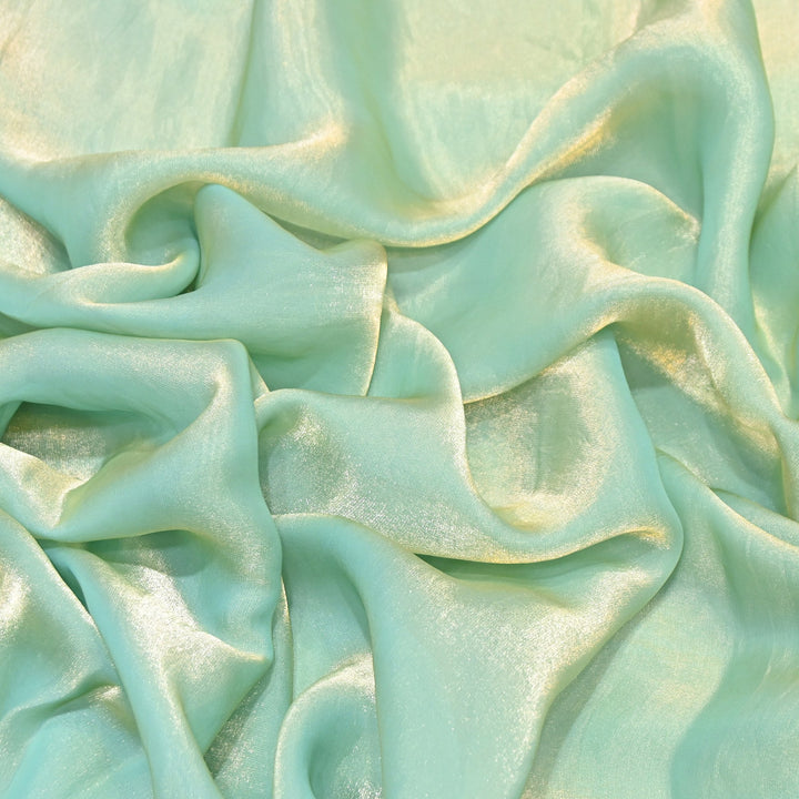 Fendi Organza Fabric | 001802-19