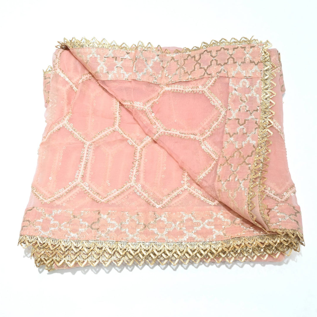 Chiffon Sequins Embroidery Dupatta