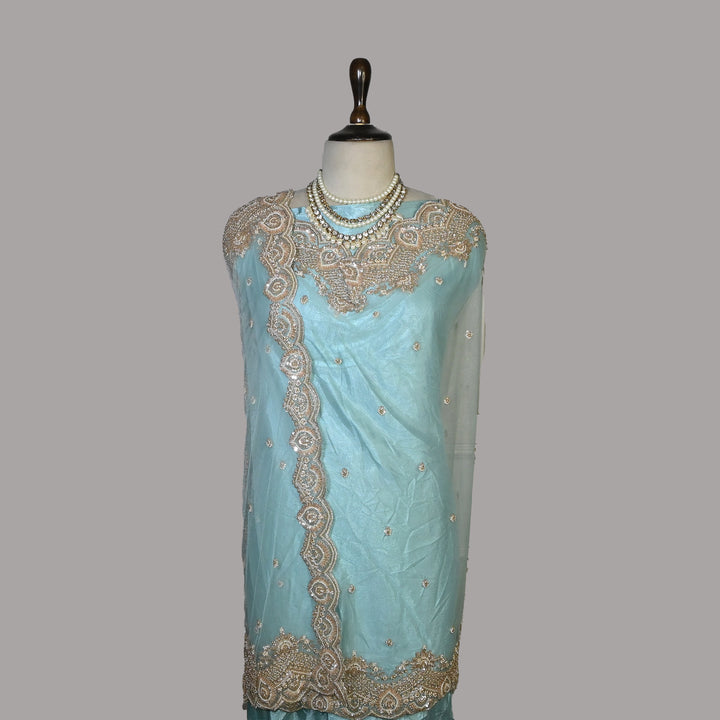 Net Moti Embroidery Dupatta | Designer Pearl Work Party Wear Dupatta-V12880C-H2