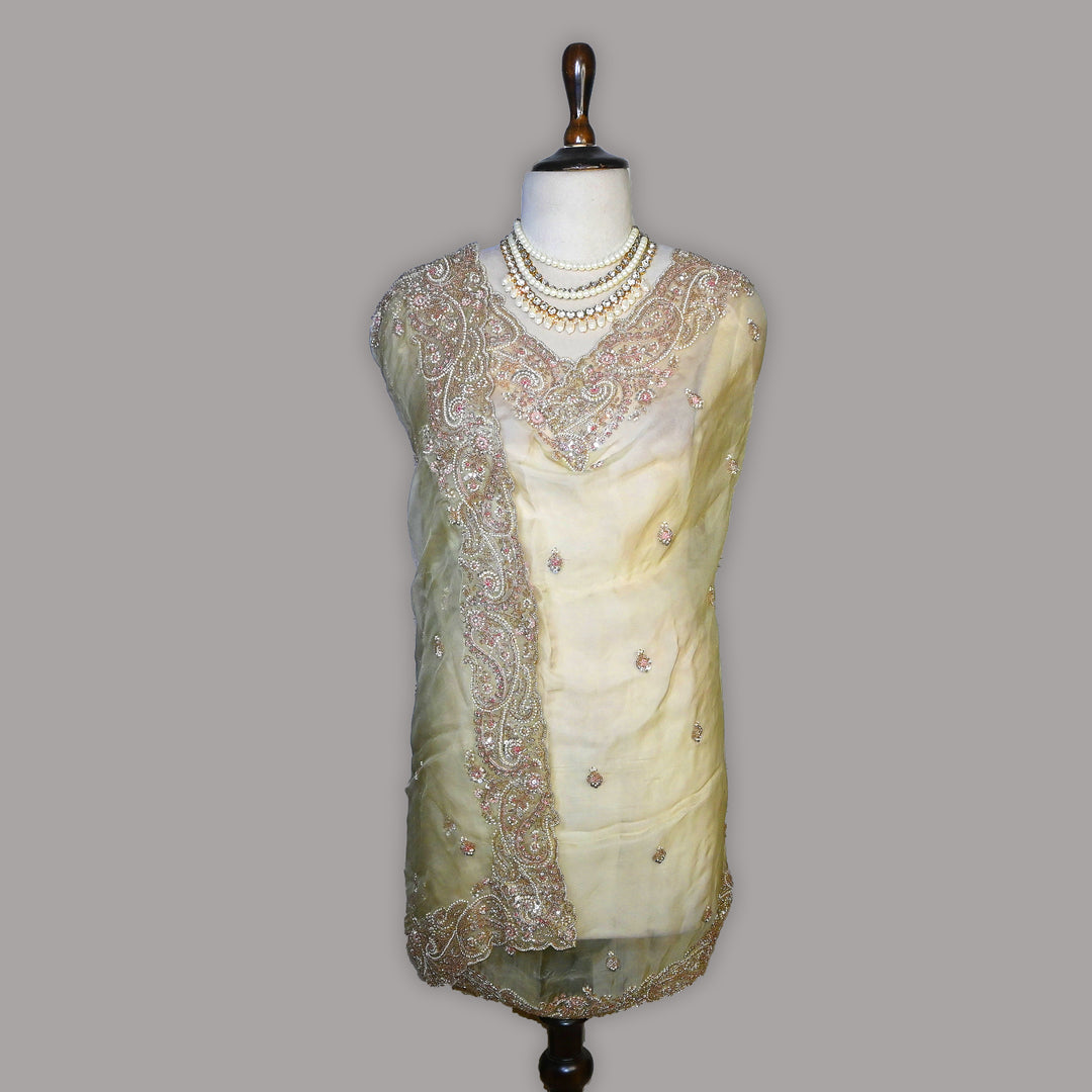 Dyed Silk Organza Moti Sequins Embroidery Fabric | Designer Embroidered Organza-V2902C-A1
