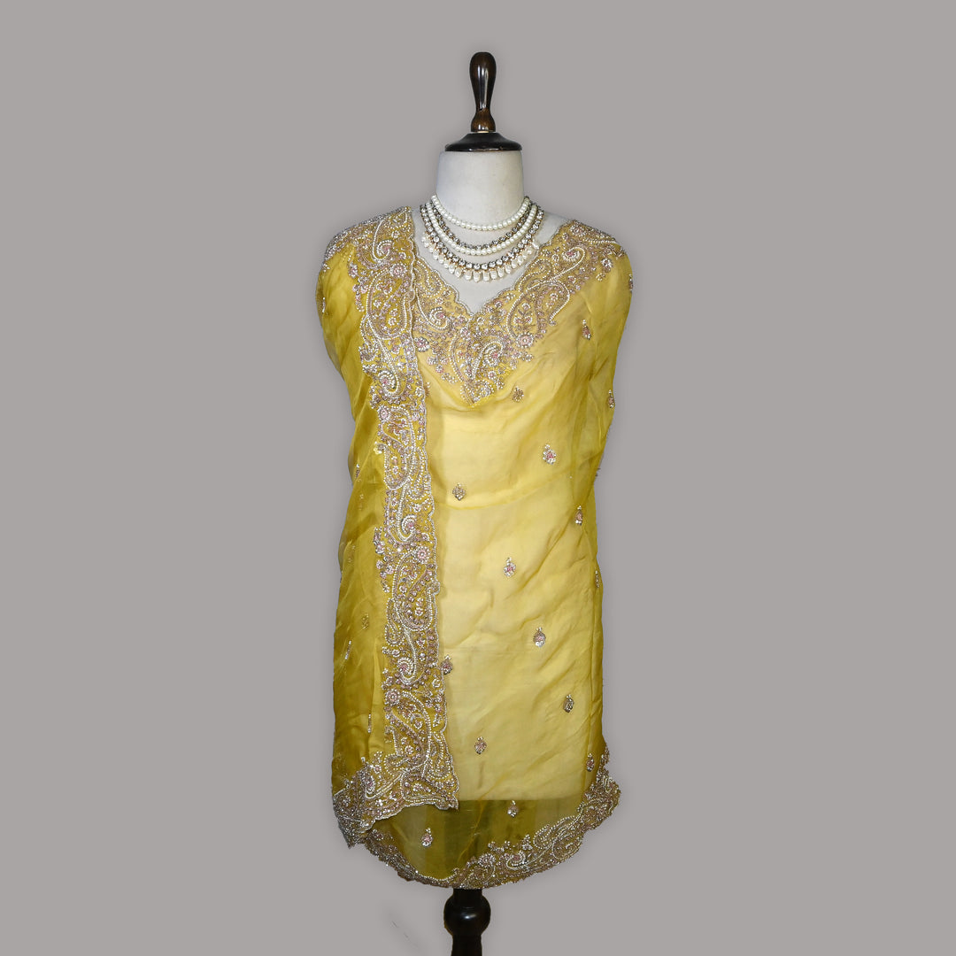 Dyed Silk Organza Moti Sequins Embroidery Fabric | Designer Embroidered Organza-V2902C-A