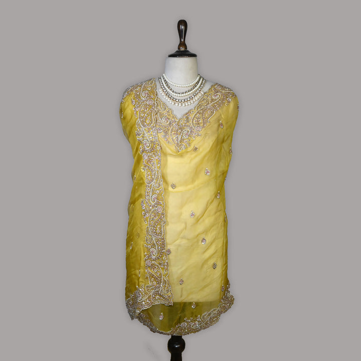 Dyed Silk Organza Moti Sequins Embroidery Fabric | Designer Embroidered Organza-V2902C-A