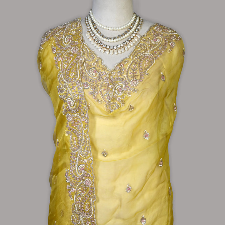 Dyed Silk Organza Moti Sequins Embroidery Fabric | Designer Embroidered Organza-V2902C-A