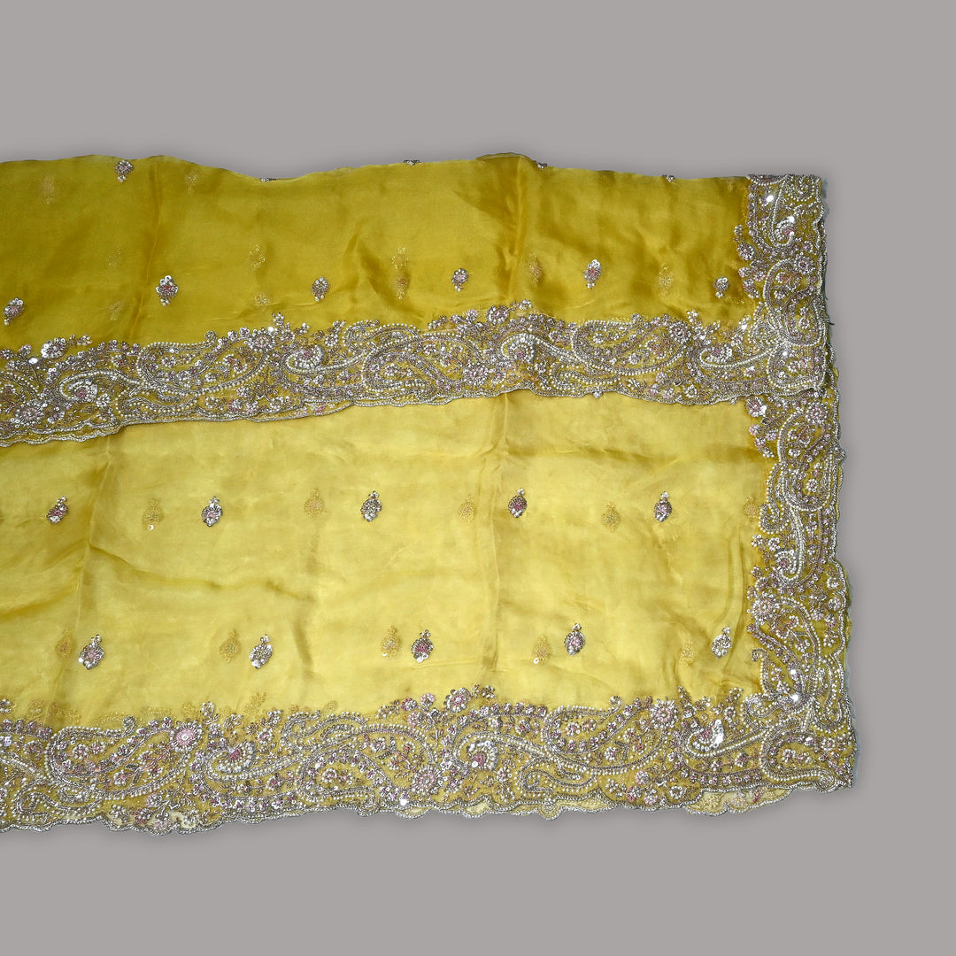 Dyed Silk Organza Moti Sequins Embroidery Fabric | Designer Embroidered Organza-V2902C-A