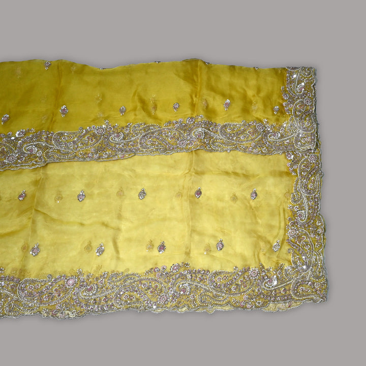 Dyed Silk Organza Moti Sequins Embroidery Fabric | Designer Embroidered Organza-V2902C-A