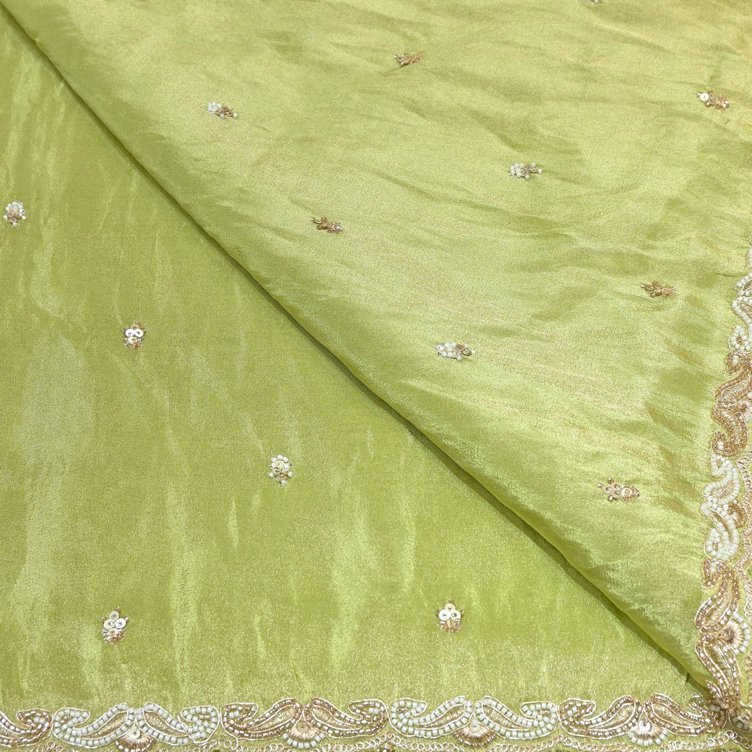 Tissue Moti Embroidery Dupatta Fabric | V3109C-02