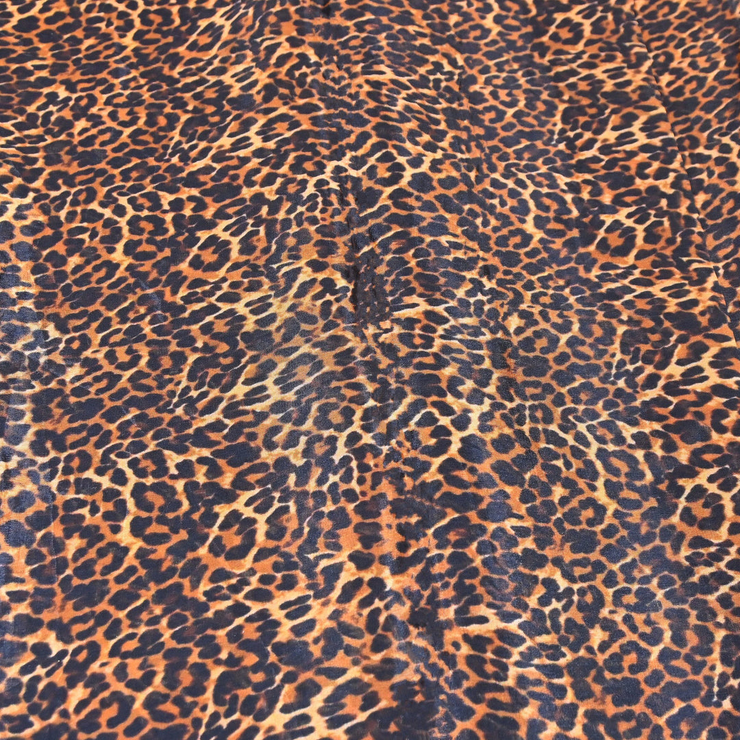 Premium Glass Organza Digital Print Fabric | Designer Printed Organza fabric-GLA200-5