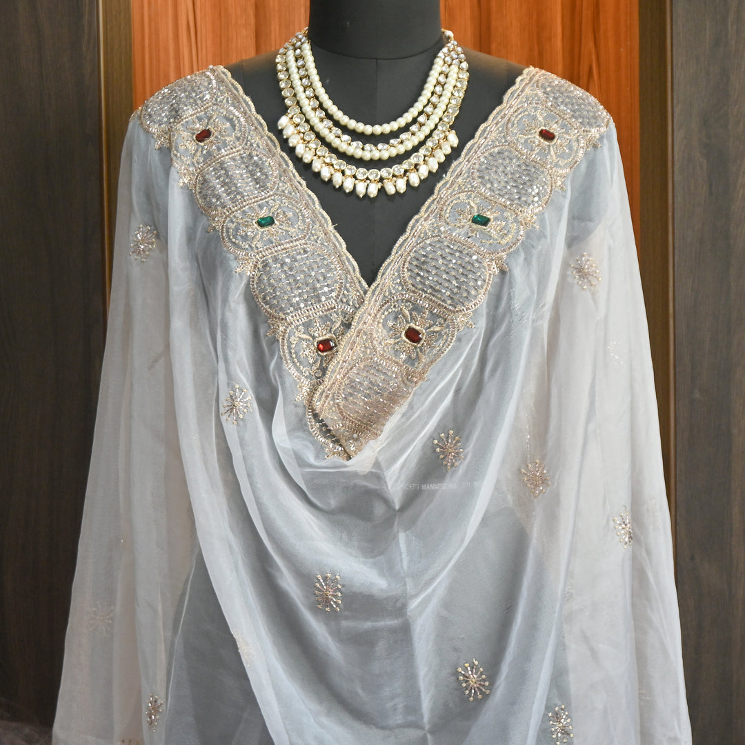 Premium Nylon Organza Dupatta with Zari & Sequin Embroidery | Designer Party Wear Dupatta-1701RM